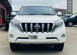 Toyota Land Cruiser Prado TZG